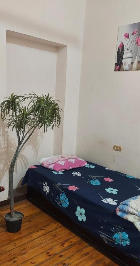 Grand Safari Hostel Kairó Kültér fotó
